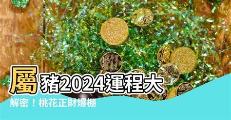 屬豬幸運物|【2024 屬豬】屬豬2024好運接踵而來！運勢、幸運色、財位、禁。